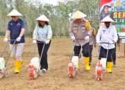 Kapolres Bersma Forkopimda Simalungun Ikuti Penanaman Jagung Serentak 1 Juta Hektar Dukung Swasembada Pangan 2025