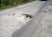 Lubang Menganga Di Tengah Ruas Jalan Menuju Kantor Camat Pematang Bandar Picu Kecelakaan