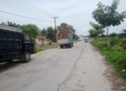 Truk Angkutan Buah Sawit Tidak Pakai Jaring Pengaman Di Bandar Huluan