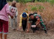 Puasa Tidak Menyurutkan Semangat Praka Yanto Dalam Mendampingi Para Petani 