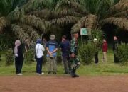 Satgas PKH Mulai Bergerak, Salah Satu Perkebunan Sawit di Kotim Mulai Di Sita