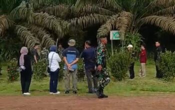 Satgas PKH Mulai Bergerak, Salah Satu Perkebunan Sawit di Kotim Mulai Di Sita
