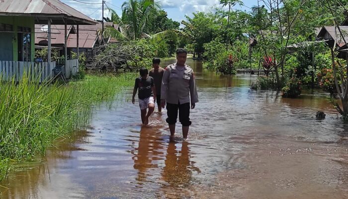 Siaga Banjir, Polsek Bukit Batu Tinjau Luapan Air di Tumbang Tahai