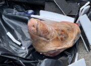 Kantor Tempo Terima Paket Misterius Berisi Kepala Babi, Diduga Ancaman untuk Wartawan  