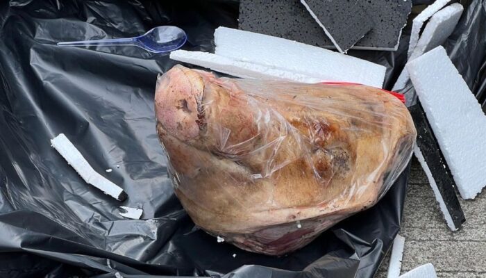 Kantor Tempo Terima Paket Misterius Berisi Kepala Babi, Diduga Ancaman untuk Wartawan  