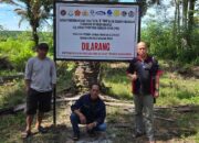 Lahan Sitaan Satgas PKH Tetap Di Lakukan Panen Oleh Pt. KIU,Warga Perlu Kepastian