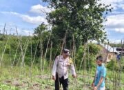 Dukung Program Asta Cita Presiden RI, Bhabinkamtibmas Sambangi Petani di Desa Binaannya.