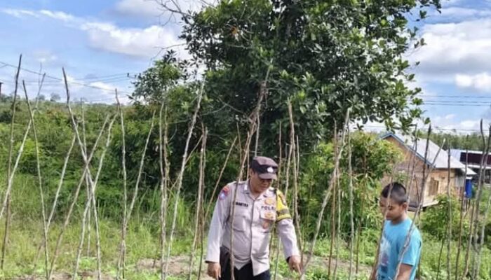 Dukung Program Asta Cita Presiden RI, Bhabinkamtibmas Sambangi Petani di Desa Binaannya.