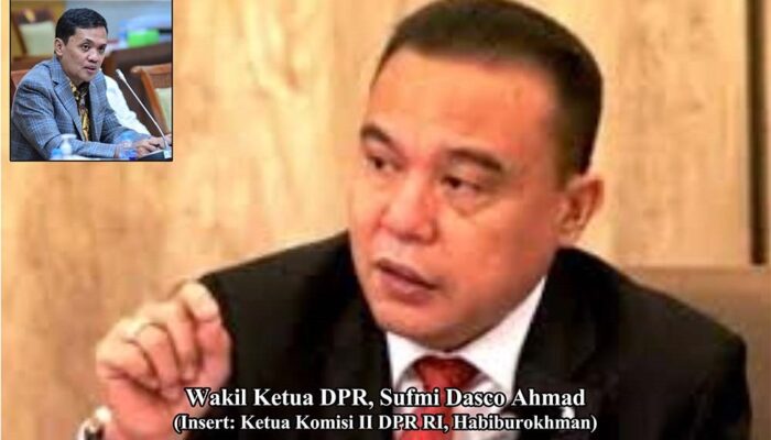 Fitnah dan Insinuasi Tingkat Tinggi terhadap Sufmi Dasco Ahmad