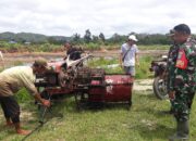 Babinsa Dan Masyarakat Tewah Turut Menciptakan Swasembada Pangan Secara Nasional