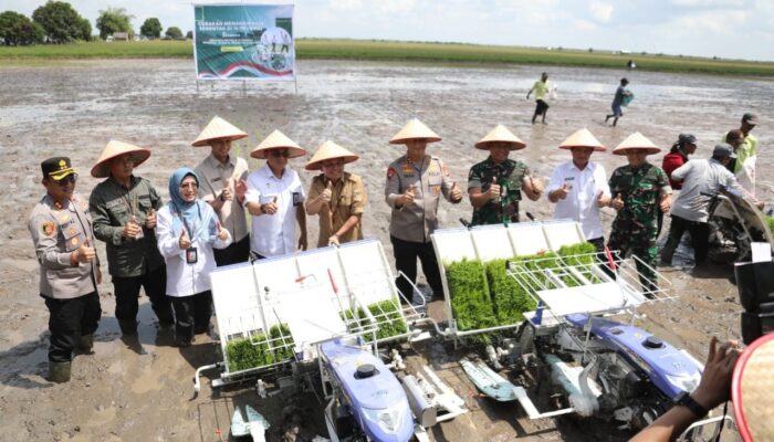 Dukung Ketahanan Pangan, Kapolda Kalteng Bersama Forkopimda Tanam Padi Serentak di Sampit Bersama 13 Provinsi Lainnya