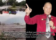 Memalukan! Oknum Pengacara di Lampung Timur Gagal Nalar, Jadi Jongos Dewan Pers