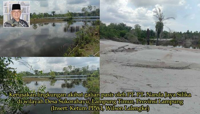 Warga Menjerit! Tambang Pasir Silika di Lampung Timur Ancam Keselamatan dan Rusak Lingkungan, PPWI Desak Penegakan Hukum!