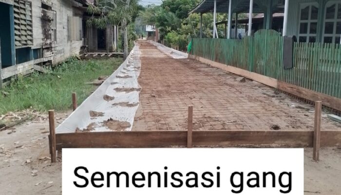 Proyek Siluman, Semenisasi Gang di Samping Kantor Desa Jaya Karet Dipertanyakan