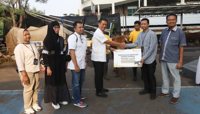 Perkuat Nilai Kebersamaan, Jamkrindo Donasikan Hewan Kurban untuk Masyarakat