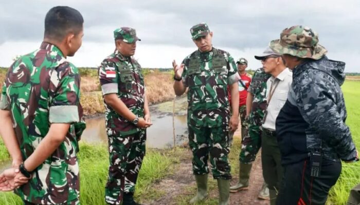 Erick Tohir Tunjuk Mayjen TNI Ahmad Rizal Ramdhani Sebagai Dirut Perum BULOG