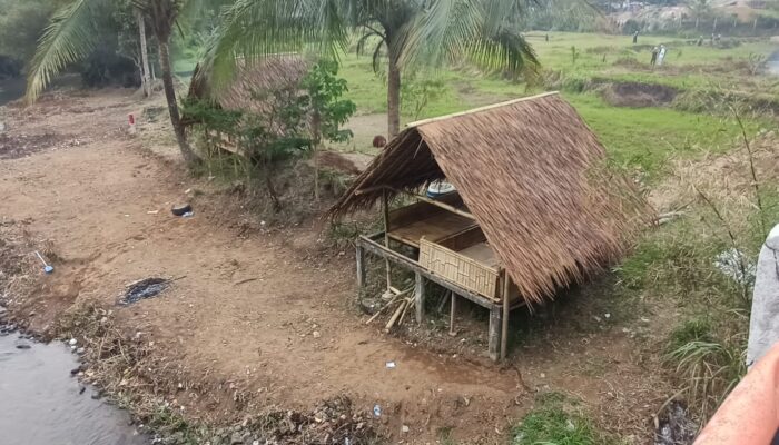 Harga Pertanian Anjlok, Begini Penilaian Prof Sutan Nasomal Pakar Hukum Internasional