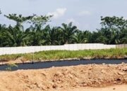 Terkait Limbah, PD IWO Minta DPRD Kabupaten Batu Bara Segera RDP PT SAS Terkait Lingkungan Hidup