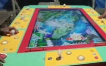 Lapor Pak Kapolda! Aktifitas Perjudian Meja Tembak Ikan Lancar Beroperasi Diwilayah Hukum Polsek Perdagangan