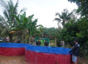 Dukung Program Ketahanan Pangan, Satgas TMMD Reguler ke-127 Buat Kolam Ikan