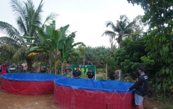 Dukung Program Ketahanan Pangan, Satgas TMMD Reguler ke-127 Buat Kolam Ikan