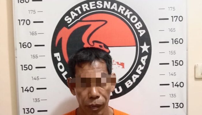 Irwansyah Alias Atan Pemilik Daun Ganja Kering Tak Berkutik Dibekuk Satres Narkoba Polres Batu Bara