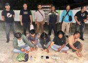Lima Orang Komplotan Pemilik Sabu Dan Ganja Tak Berkutik Dibekuk Tim Satres Narkoba Polres Simalungun
