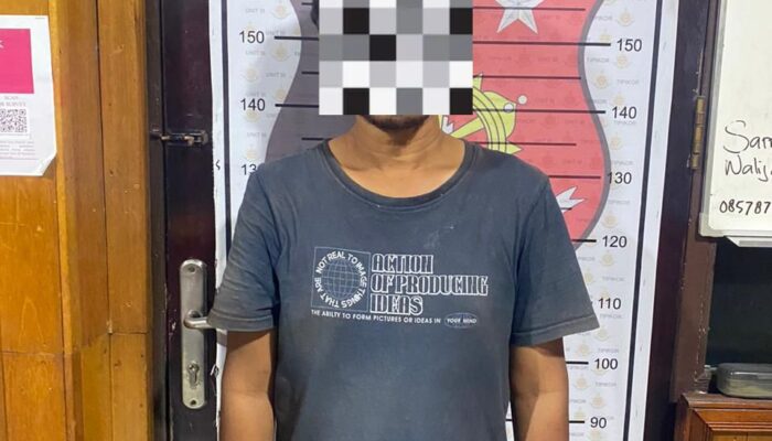 Curi Setengah Ton Sawit di PT MAP, Seorang Pria Diringkus Polres Kotim