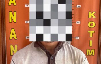 Sembunyi di Parit Gajah Usai Gasak Sawit PT SKD, Pria di Kotim Diringkus Polisi