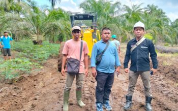 Nagori Partimbalam Giat Rekonstruksi Jalan Produksi Hasil Bumi Masyarakat Bantuan CSR PT PP Lonsum (tbk) Kebun Bahlias