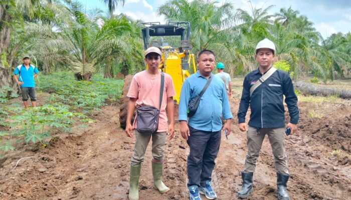 Nagori Partimbalam Giat Rekonstruksi Jalan Produksi Hasil Bumi Masyarakat Bantuan CSR PT PP Lonsum (tbk) Kebun Bahlias