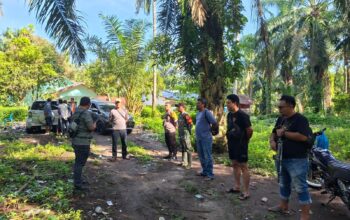 Lima Pelaku Ditangkap 99,74 Gram Sabu Disita, Sat Narkoba Polres Simalungun