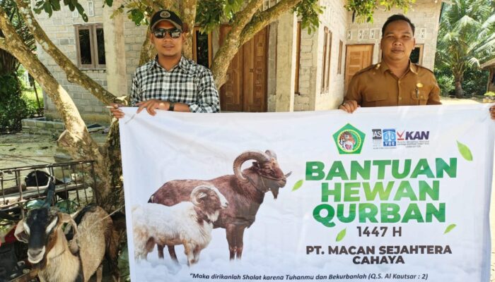Jelang Hari Raya Idul Adha 1447 H, PT Macan Sejahtera Cahaya Serahkan Hewan Kurban Untuk 4 Desa di Riau