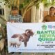 Jelang Hari Raya Idul Adha 1447 H, PT Macan Sejahtera Cahaya Serahkan Hewan Kurban Untuk 4 Desa di Riau