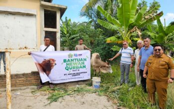 PT Macan Sejahteta Cahaya Serahkan Hewan Kurban di Kampung Mangke Batu Bara dan Masjid Al-Hidayah Perdagangan Simalungun