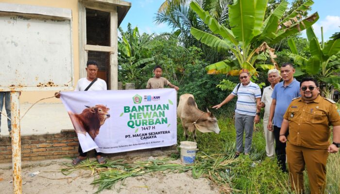 PT Macan Sejahteta Cahaya Serahkan Hewan Kurban di Kampung Mangke Batu Bara dan Masjid Al-Hidayah Perdagangan Simalungun