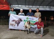 Wujud Kepedulian Terhadap Masyarakat, PT Macan Sejahtera Cahaya Salurkan Hewan Kurban ke 5 Lokasi di Riau