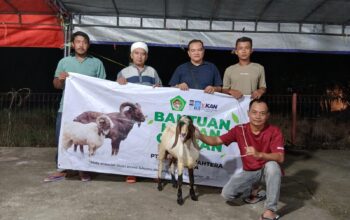 Wujud Kepedulian Terhadap Masyarakat, PT Macan Sejahtera Cahaya Salurkan Hewan Kurban ke 5 Lokasi di Riau