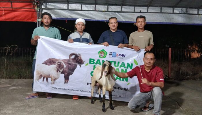 Wujud Kepedulian Terhadap Masyarakat, PT Macan Sejahtera Cahaya Salurkan Hewan Kurban ke 5 Lokasi di Riau
