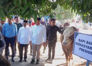Bupati Batu Bara Serahkan Sapi Kurban Bantuan Presiden RI kepada Pengurus Masjid Ar-Rahman