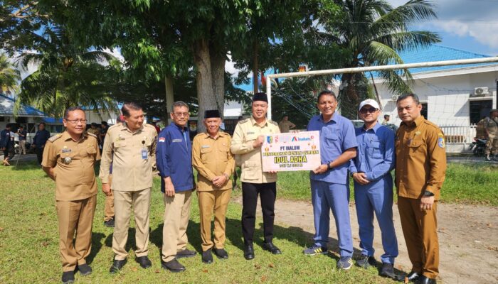 Sambut Idul Adha 1447 H, INALUM Salurkan 107 Hewan Kurban di Sumatera Utara