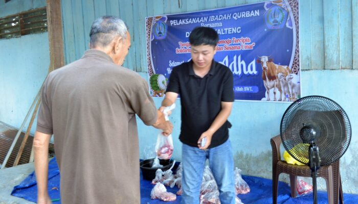 DPW IPJI Kalteng Potong Sapi Kurban, Perkuat Kepedulian dan Kebersamaan