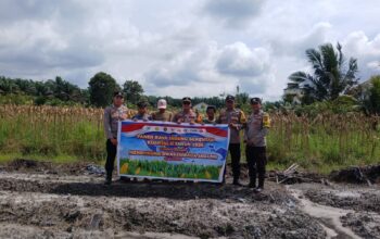 Polsek Telawang Panen Jagung di Desa Penyang, Dukung Ketahanan Pangan Asta Cita