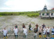 Bupati Batu Bara Pimpin Penanaman Mangrove dan Tinjau Pembangunan Kawasan Nelayan Modern