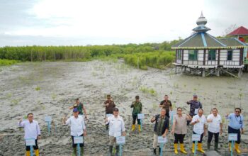 Bupati Batu Bara Pimpin Penanaman Mangrove dan Tinjau Pembangunan Kawasan Nelayan Modern