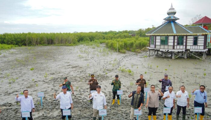 Bupati Batu Bara Pimpin Penanaman Mangrove dan Tinjau Pembangunan Kawasan Nelayan Modern