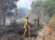 Reaksi Cepat, Personil Kodim 1015/Sampit Padamkan Api di Lahan Warga