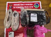 Pura-pura Beli Sepatu, Pria di Sampit Diciduk Bawa 77 Gram Ganja Melalui Ekspedisi
