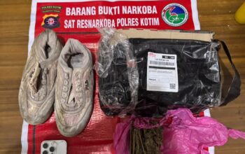 Pura-pura Beli Sepatu, Pria di Sampit Diciduk Bawa 77 Gram Ganja Melalui Ekspedisi