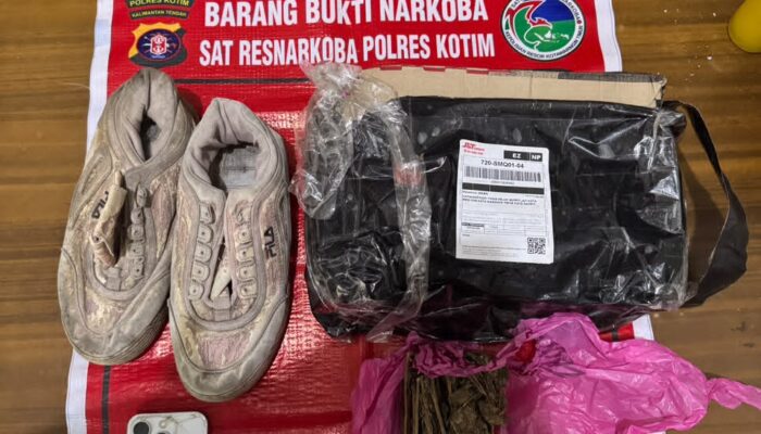 Pura-pura Beli Sepatu, Pria di Sampit Diciduk Bawa 77 Gram Ganja Melalui Ekspedisi